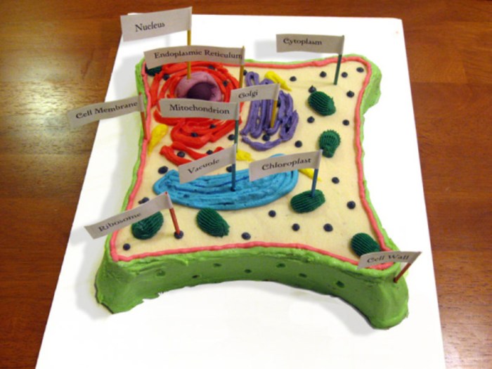 3d cell projects